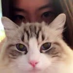 Rina Cheng - @rinasiying - Instagram