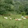 reinaldo rivera - @user5062108325475 - TikTok