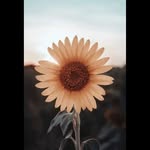 rinas Mohammed - @rinasmohami - Instagram