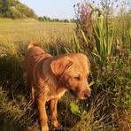 Rio Bennett - Facebook