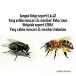 rio_chang - @harisondragonz - Instagram