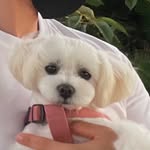 박창현 - @riochanghyunpak - Instagram