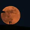 loquinariocyrus33 - @loquinariocyrus33 - TikTok