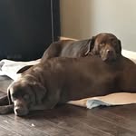@rioharvey__ - Instagram