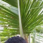 Rio James Labutap - Facebook