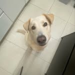 RIO - @rio_mayo_ - Instagram