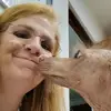 VeterinariaRioMayo - @karinvet - TikTok