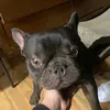rioramos18 - @rioramos85 - TikTok