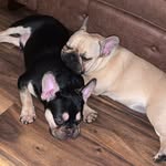 💗𝐺𝐼𝐺𝐼 & 𝑅𝐼𝑂 𝑊𝐸𝐿𝐿𝑆💙 - @gigiandriosjournal - Instagram