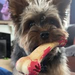 Riooo - @riowoodss - Instagram