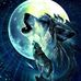 Reza Keyhan - Facebook