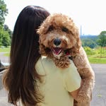 Risa Cohen Vandermark - @risavandermark - Instagram