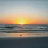 rishisachdeva84 - @rishisachdeva84 - TikTok