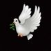 Rita Abraham - Facebook