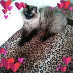 Rita Adkins - Facebook