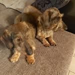 Rita Aerts - @ritakeaerts - Instagram