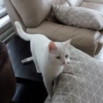 Rita Aerts - @aerts.rita1962 - Instagram