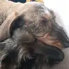 Rita Aerts - @ritaaerts1 - TikTok