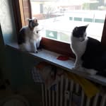 margherita alberti - @albertiso.rita - Instagram