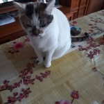 Rita Alberti - @rita.alberti.73 - Instagram