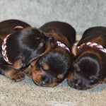 Rita Albrecht - @albrecht9797 - Instagram