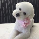 Rita Alfred - @ritaalfred70 - Instagram