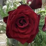 Rita Ali - Facebook