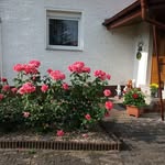 Rita Altmann - @altmann.rita - Instagram