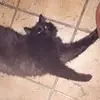 Rita Andres - @ritaandres1 - TikTok