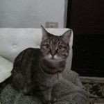 Rita Parodi Anello - @nonna_rit_aaaaa - Instagram