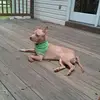 ritaapplegate - @ritaapplegate - TikTok