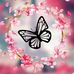 Rita Arias - Facebook