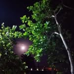 Rita Arias - @rita.arias.1213 - Instagram