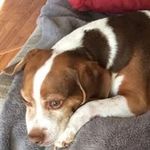 Rita Ben-Asher - @ritabenasher - Instagram