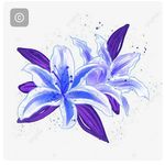 Rita Azzam - @ritaazzam3 - Instagram