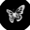 Rita azzam - @rita.azzam1 - TikTok