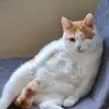 rita.barene - @rita.barene - TikTok