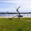 Rita Barros - @anarita_barros_ - TikTok