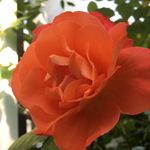 Rita Knowings-Barrow - @rita_b_xoxo - Instagram