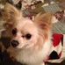 Rita Beam - Facebook