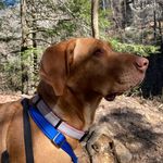 Rita Bean Smith - @rita_saves_the_world - Instagram