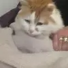 ritabean63 - @ritabean63 - TikTok