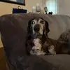 Ritabean - @ritabeanxx - TikTok