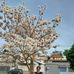 Rita Bento - Facebook