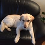Rita Berger - @rita_berger_hug - Instagram