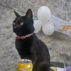 Rita Beron - @rita.beron0 - TikTok