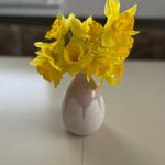 Rita Spach Berrier - @rjscb1 - Instagram