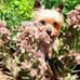 Rita Berry - Facebook