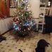 Rita Blackwell Willix - Facebook