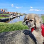 Rita Bode - @dam.pa1 - Instagram